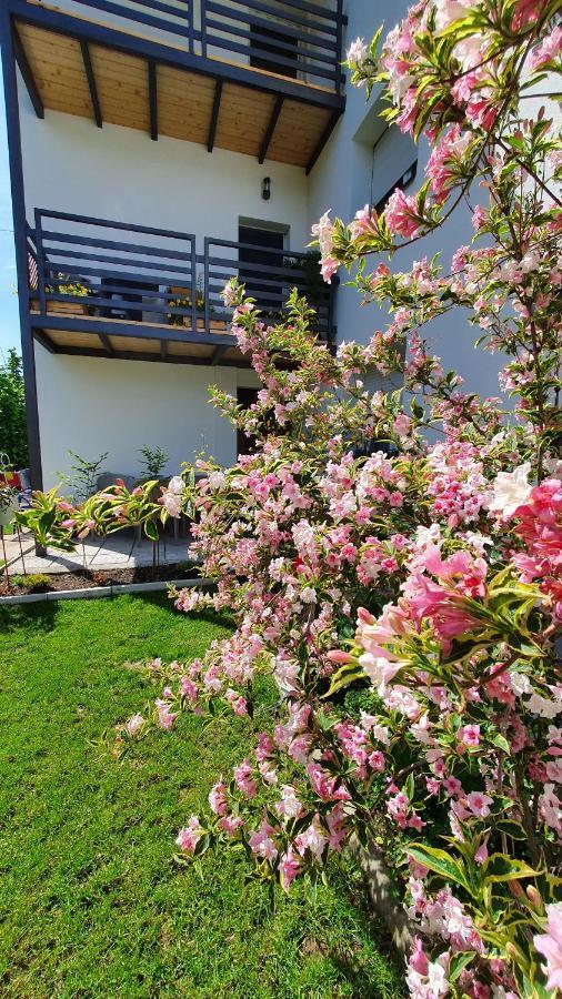 Luxor Apartmani 2 Vrnjačka Banja Exteriör bild