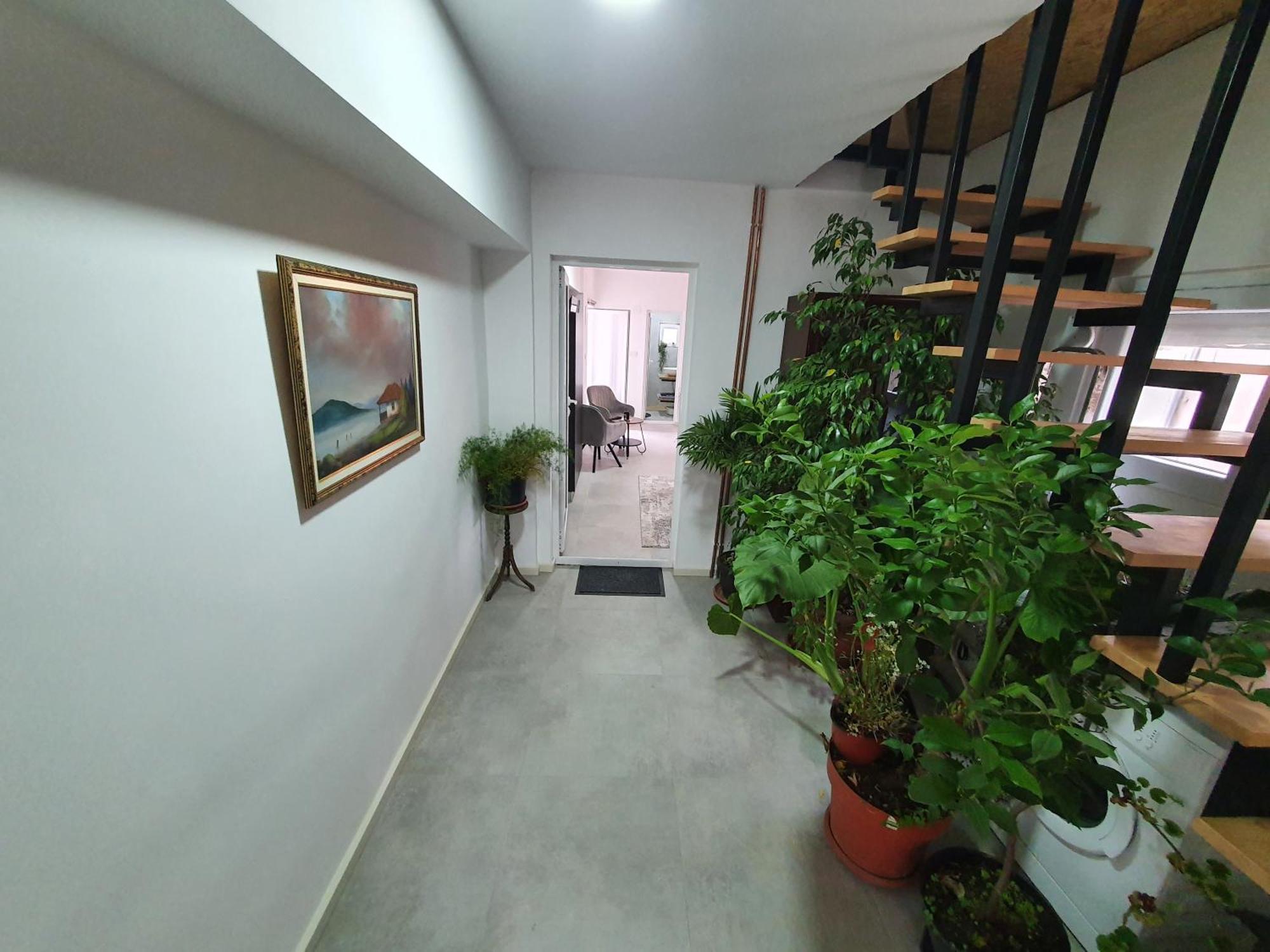 Luxor Apartmani 2 Vrnjačka Banja Rum bild